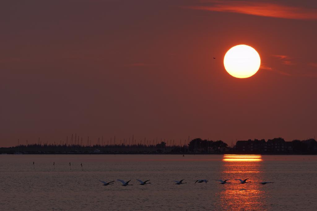 Haus Achtern Diek In Erster Reihe Am Meer Fehmarn Exteriör bild